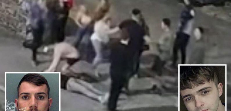My son, 20, was killed in a horrific one-punch attack – I want you to see the sickening moment so it never happens again