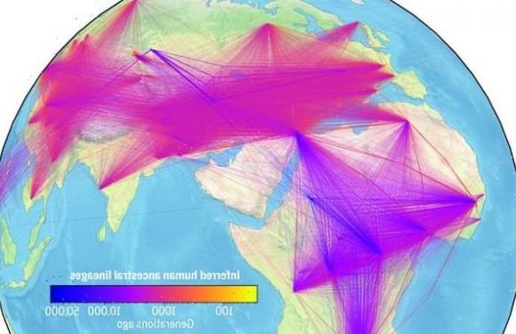 Scientists create the largest family tree linking 27 million people
