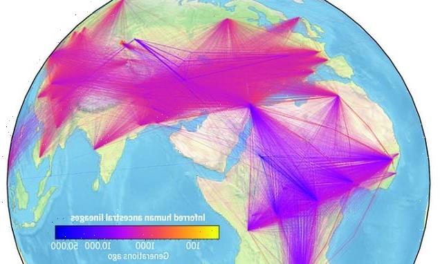 Scientists create the largest family tree linking 27 million people