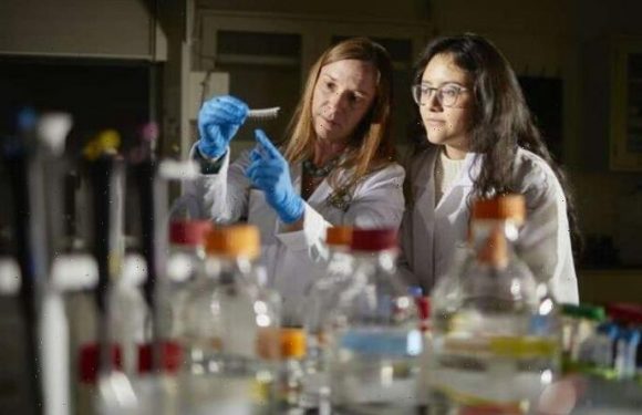 Scientists one step closer to ‘turning off’ epileptic seizures – ‘new hope’ for thousands