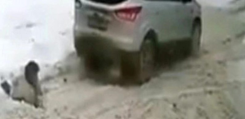 Shocking moment woman, 77, run over TWICE after driver 'mistakes her for deep snow' – but survives UNSCATHED