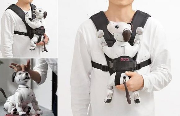 Sony launches a £60 carrying strap for its robotic dog Aibo