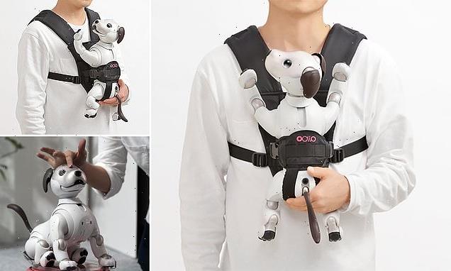 Sony launches a £60 carrying strap for its robotic dog Aibo