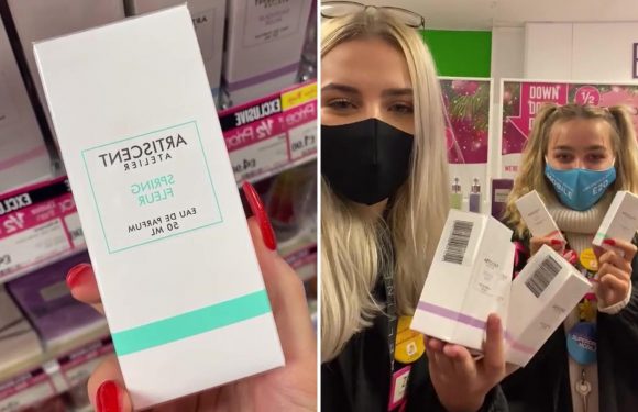 Superdrug workers reveal which bargain perfumes are the EXACT dupes of pricey designer versions including Chloe and Dior