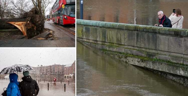 TORNADOS to blast UK with 80mph gales & floods in worst run of storms EVER