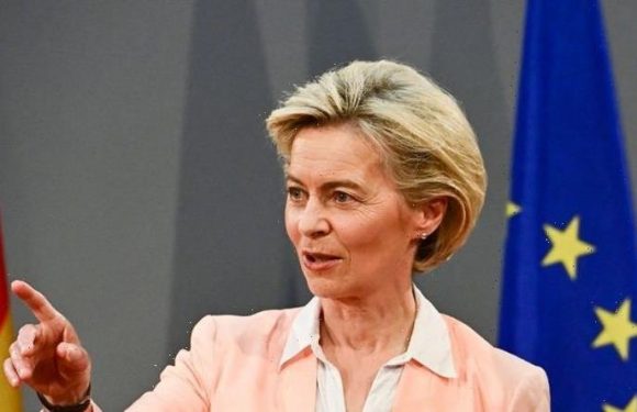 The EU countries set to lose the most if Russia cuts gas – and why UK can swerve impact