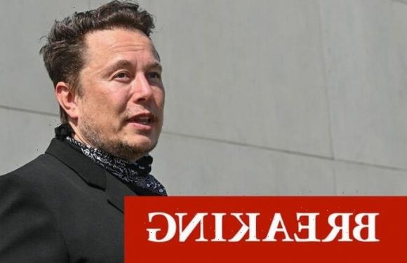 Thousands of Britons facing internet BLACKOUT as Musk’s satellites in ‘critical’ state