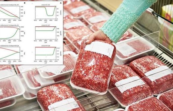 Total elimination of meat production could save the planet, study says