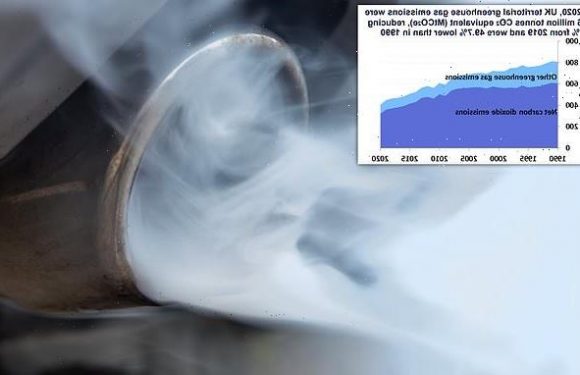 UK greenhouse gas emissions fell by a TENTH in 2020 amid lockdowns