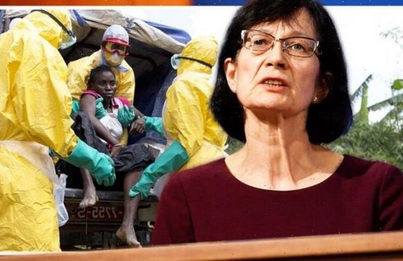 UK health experts sound alarm after Ebola-like virus carried by rats found in Britain