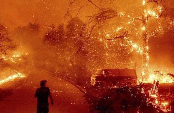 UN issues gravest report yet on impacts of climate change