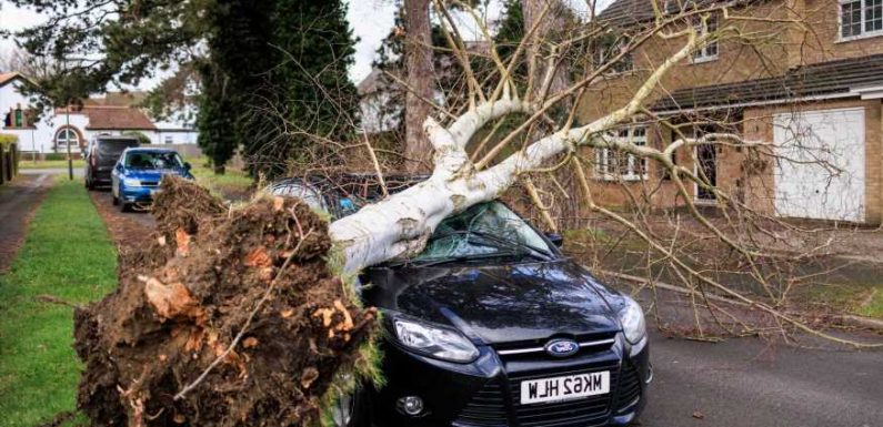 Will my car insurance cover Storm Eunice damage?