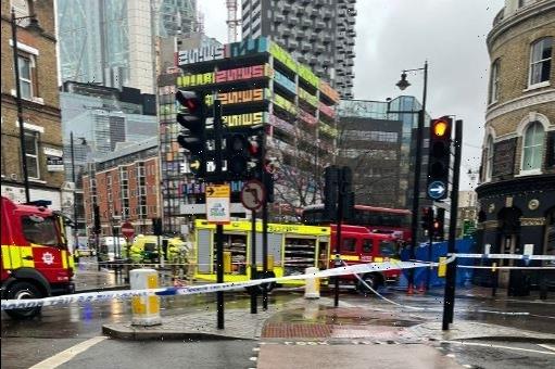 Woman, 30s, dies after being hit by bus in London in rush hour horror smash