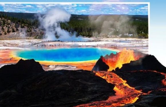 Yellowstone volcano warning: Swarm of earthquakes recorded after park ‘anomaly’