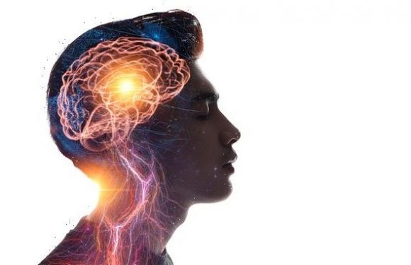 Your brain shows images from 15 seconds 'in the past', study reveals