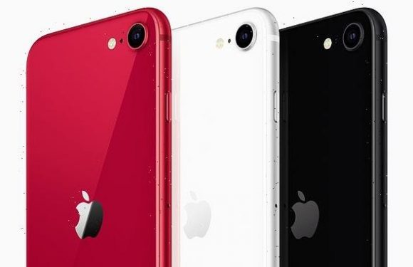 iPhone SE 3 could launch next MONTH when Apple hosts a Spring event