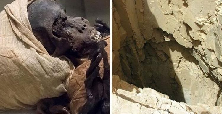 Ancient Egyptian pharaoh was found with ‘violent injuries’ on ‘distorted’ face