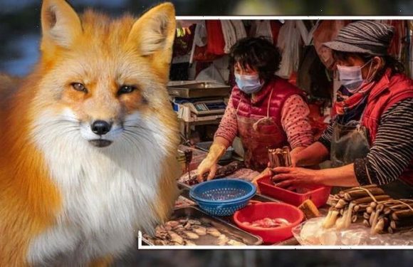 Covid origin unravels as ‘unambiguous’ evidence points back to Wuhan seafood market