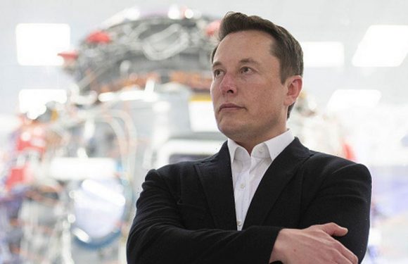 Elon Musk boldly reckons we all need to be having more children