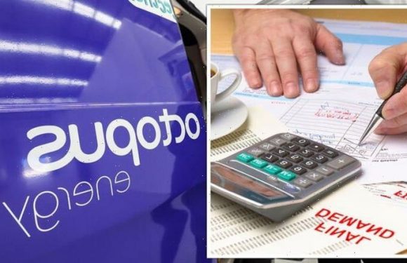 Energy crisis lifeline as Octopus unveils new scheme to SLASH bills by up to £350-a-year