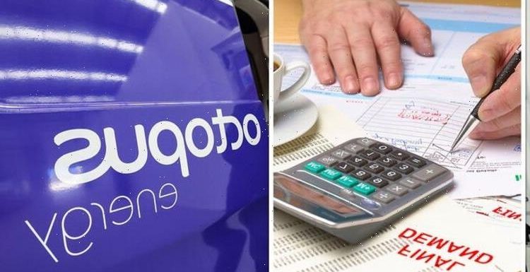 Energy crisis lifeline as Octopus unveils new scheme to SLASH bills by up to £350-a-year