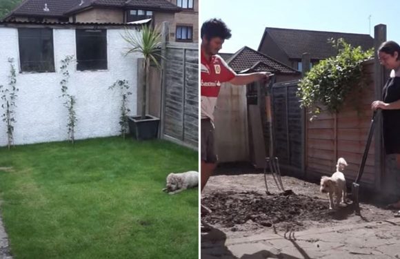 I transformed my drab garden in a DAY, and it only cost me £100 using bargains from B&Q & the garden centre