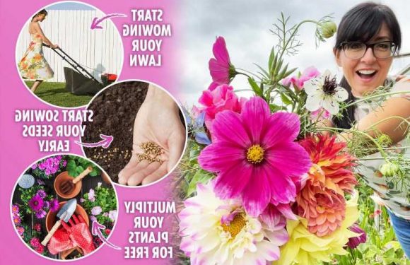 I’m a gardening expert, six easy ways to get your outdoor space looking great on budget – and no experience required