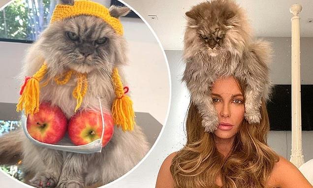 Kate Beckinsale's pet cat looks less than pleased