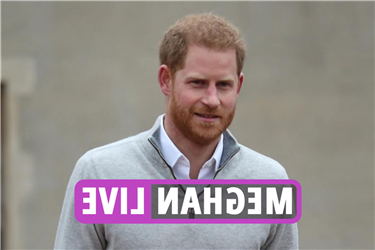 Meghan Markle news: Prince Harry in 'difficult position' but is ‘sure to return’ to UK despite police security row