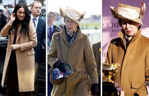 Princess Anne channels Meghan Markle for last day at Cheltenham Festival – ‘Loving it’