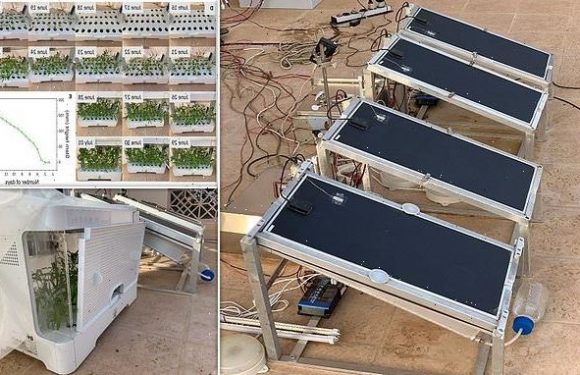 Solar panels successfully grow spinach by pulling in water vapour