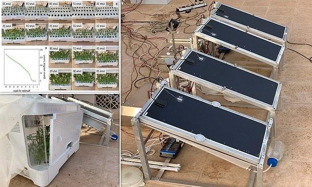 Solar panels successfully grow spinach by pulling in water vapour