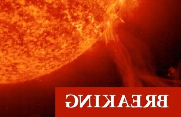 Solar storm warning: NASA predicts direct Earth hit from ‘fast’ impact– Where will it hit?