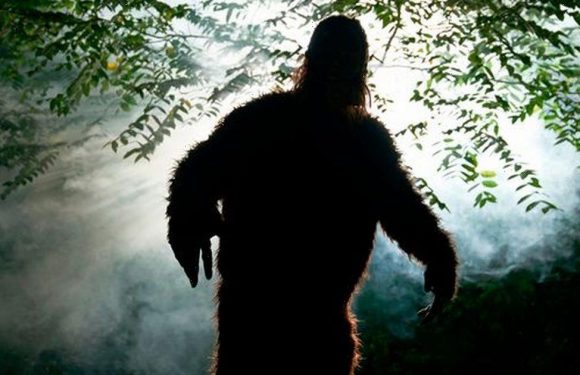 ‘Time traveller’ predicts Bigfoot sighting and England to win World Cup in 2022