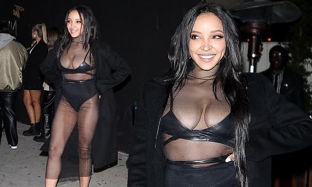 Tinashe puts on a VERY racy display in a sheer mesh dress