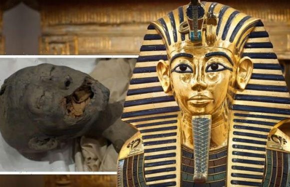 Tutankhamun’s ‘dark secrets’ laid bare with ‘shocking evidence’: ‘Terrible wound’