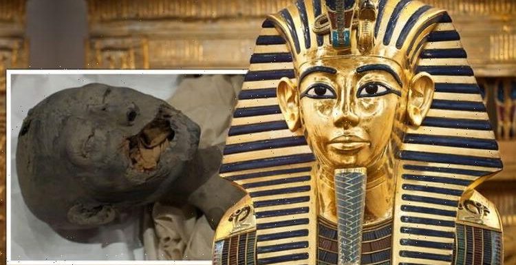 Tutankhamun’s ‘dark secrets’ laid bare with ‘shocking evidence’: ‘Terrible wound’