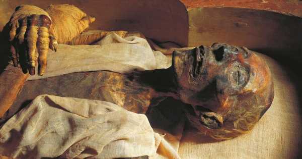 World’s weirdest mummy mysteries from murder plots to ‘Adidas’ shoes