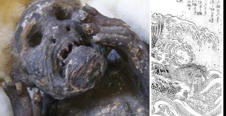 ‘Mermaid’ mummy mystery to be blown open as scientists scan ‘eerie’ remains