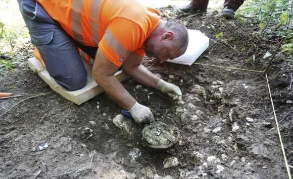 Amateur archaeologist hits jackpot as hoard of 1,290 Roman coins found: ‘Stroke of luck’