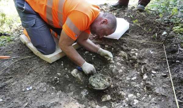 Amateur archaeologist hits jackpot as hoard of 1,290 Roman coins found: ‘Stroke of luck’