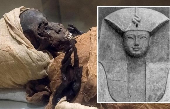 Archaeologists stunned at little-known Egyptian pharaoh’s face mutilated in violent death