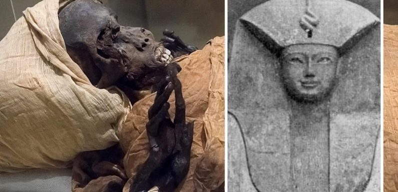 Archaeologists stunned at little-known Egyptian pharaoh’s face mutilated in violent death