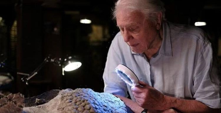Attenborough stunned as fossil found from THE DAY the dinosaurs died- ‘That’s Impossible!’