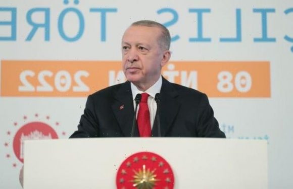 Erdogan humiliates EU as Turkey eyes up plot slash Putin’s gas