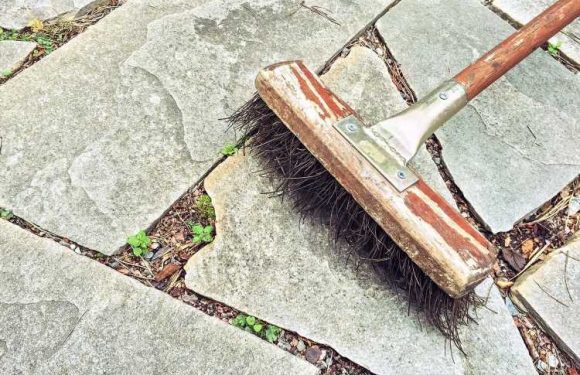 Experts warn people to ditch viral patio cleaning hack as it can destroy slabs