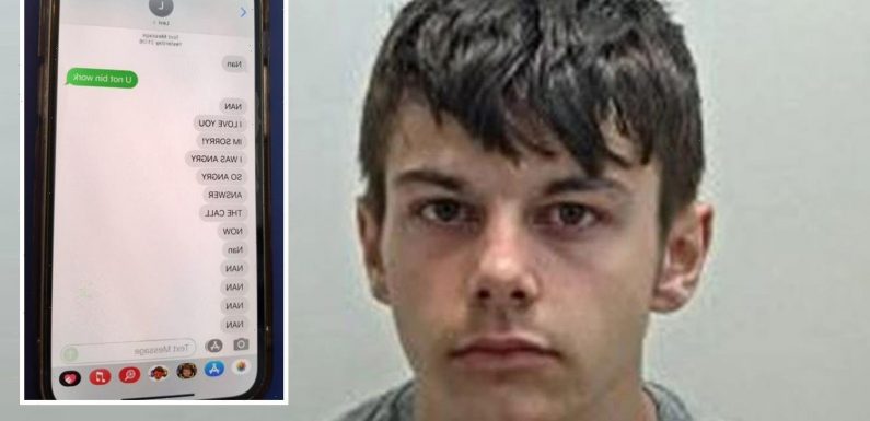 Frantic texts sent by teen killer, 18, as he hid in a garden moments after knifing his ex-girlfriend's hero dad to death