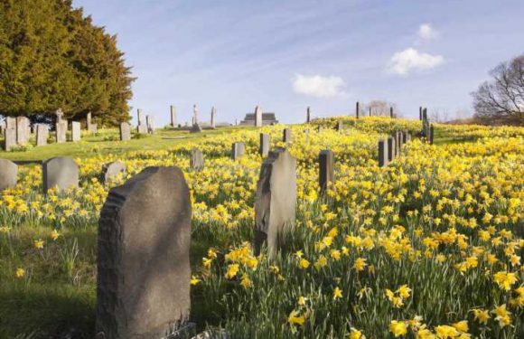 I run a funeral home chain – what happens to your body after you die & why you don't need to be embalmed
