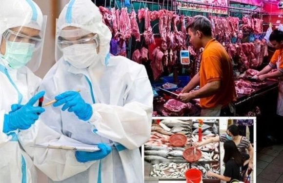 Next pandemic ‘not if, but when’ as wet markets STILL threaten another virus outbreak