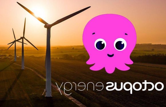 Octopus Energy offers to slash YOUR bills – but you’ll have to look after a wind turbine